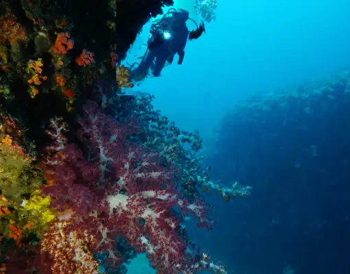 Celebes See - Taucher an Wand
