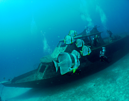 Divetrips Phuket - Wreck Diving