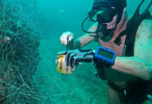 Zombie Diver bei Cleaning der Meere